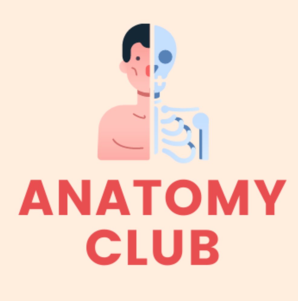 Club Cover